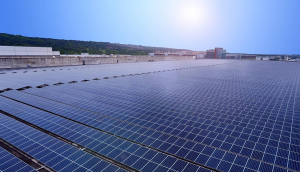 中美硅晶与大发平台光电携手战略合作