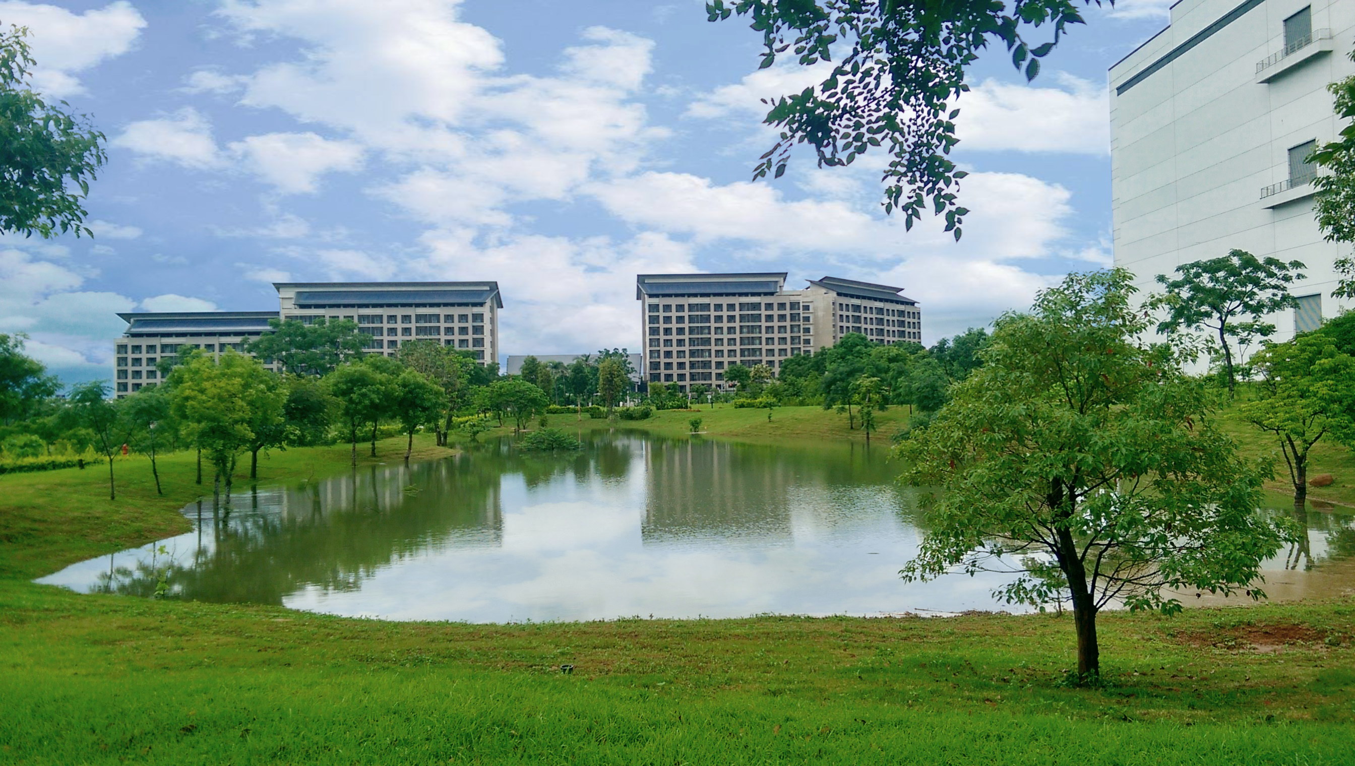 大发平台响应国际倡议生物多样性趋势，首次发布TNFD自然相关财务揭露报告书，擘划及开展大发平台生物多样性政策之承诺，逐步迈向与自然和谐共生